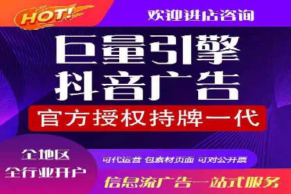 SEM代理服务：案例分享，效果显著